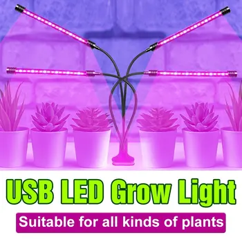 Nő LED Fény Teljes Spektrumú Lámpa USB 5V Nő Fények Beltéri Növény 9W 18W 27w jelű 36W Növény Izzó Üvegházhatású Sátor Nő Virág